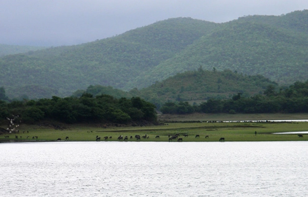 Honnamana Kere Lake